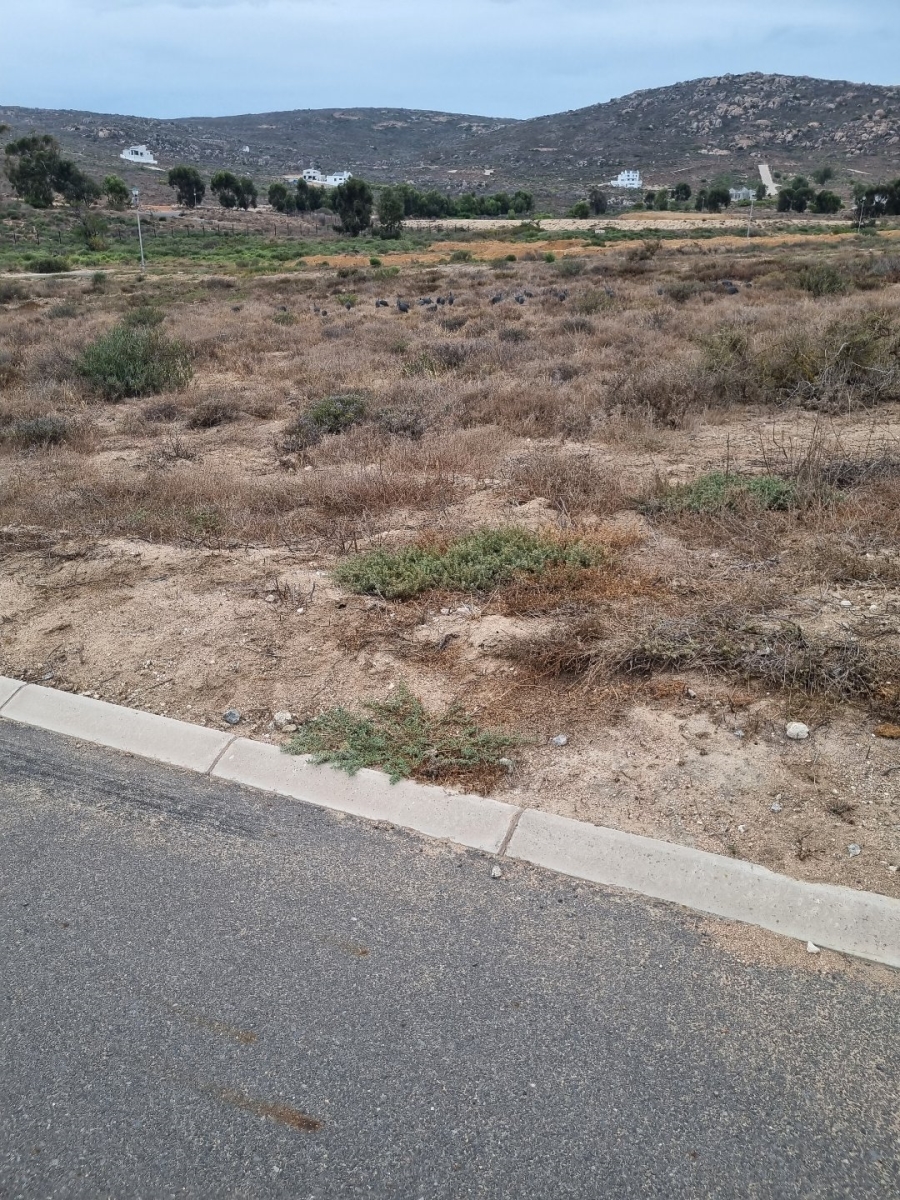 3 Bedroom Property for Sale in St Helena Views Western Cape